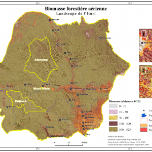Biomasse forestière aérienne dans le Landscape Ituri-Epulu-Aru