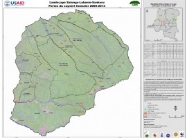 SALONGA LUKENI SANKURU Forest Cover Loss Map