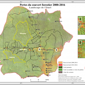 Pertes du couvert forestier 2000-2016