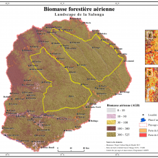 Biomasse forestière aérienne dans le Landscape Salonga-Lukenie-Sankuru