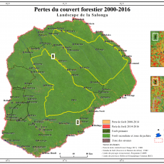 Pertes du couvert forestier 2000-2016