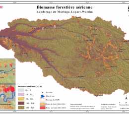 Biomasse forestière aérienne dans le Landscape Maringa-Lopori-Wamba