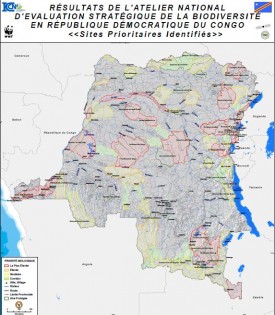 Strategic assessment of biodiversity in DRC